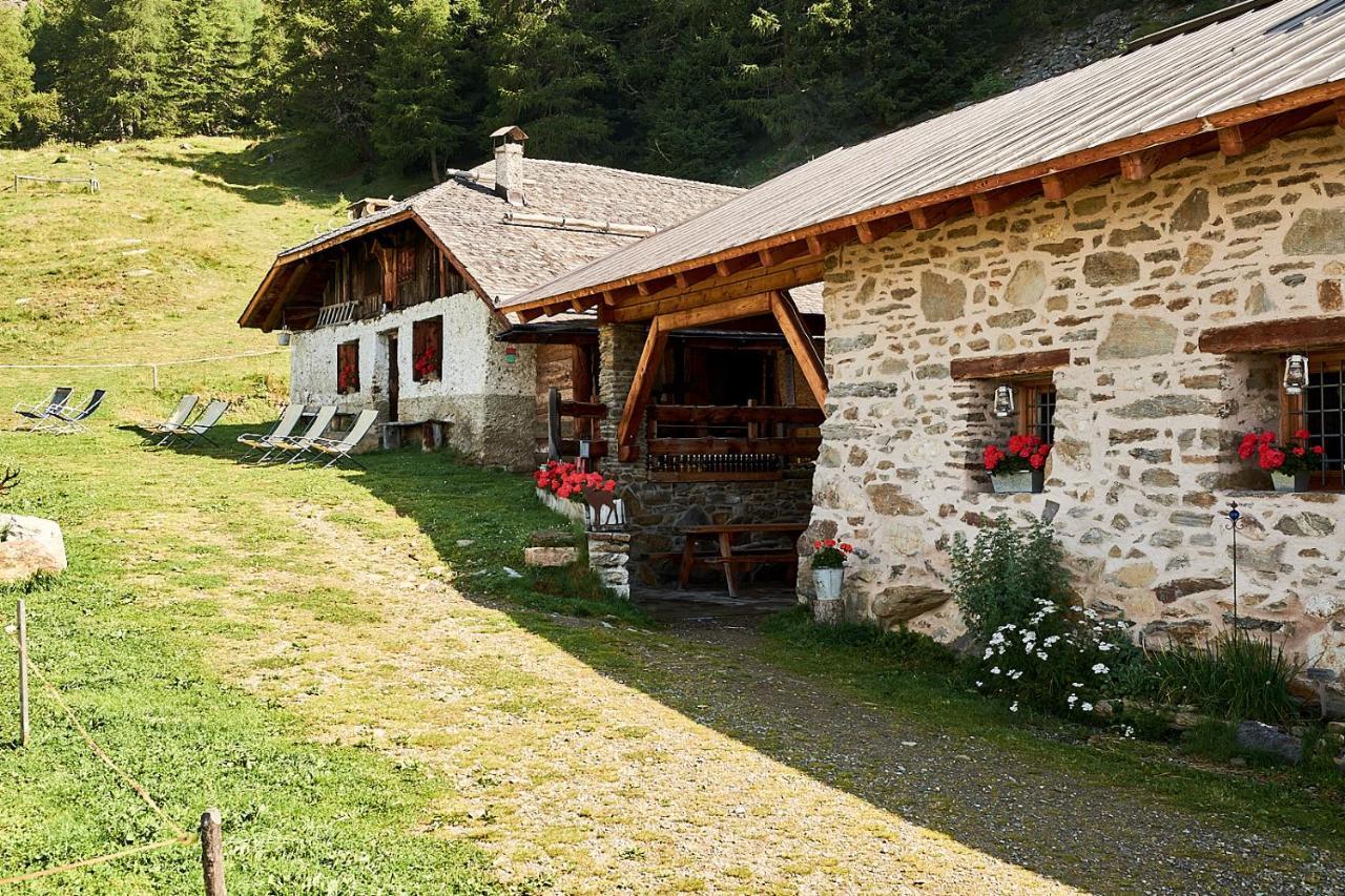Nestalp Malga Campo Villa Peio Luaran gambar