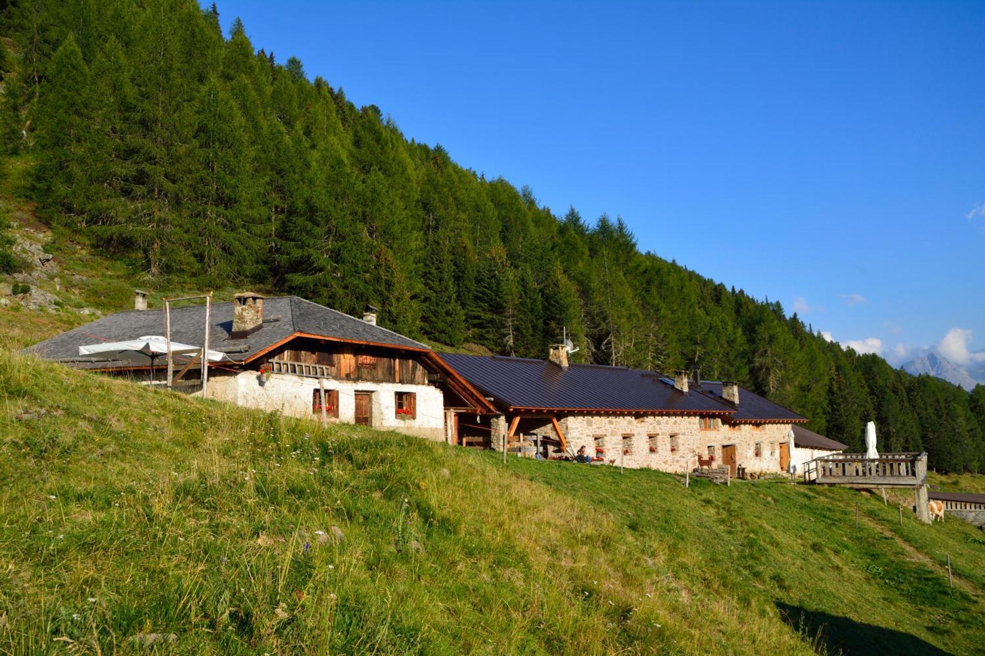 Nestalp Malga Campo Villa Peio Luaran gambar