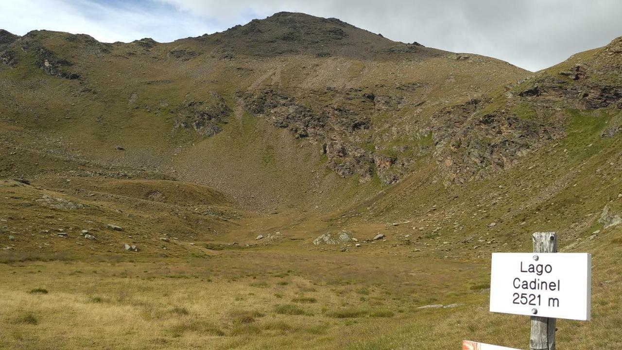 Nestalp Malga Campo Villa Peio Luaran gambar